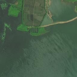 嬉子湖镇卫星地图 - 安徽省安庆市桐城市嬉子湖镇,村图片
